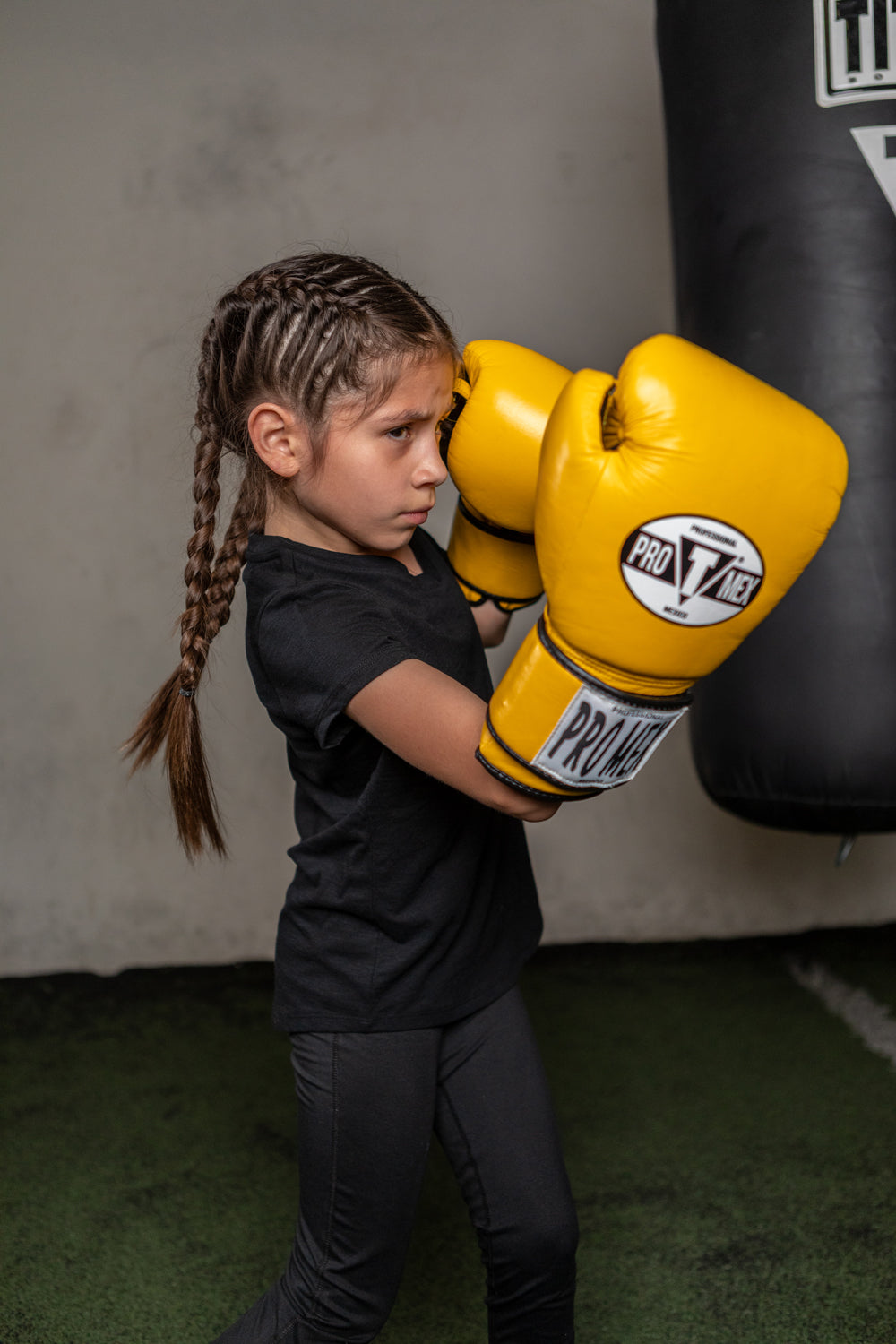 Professional Training Boxing Gloves 3.0