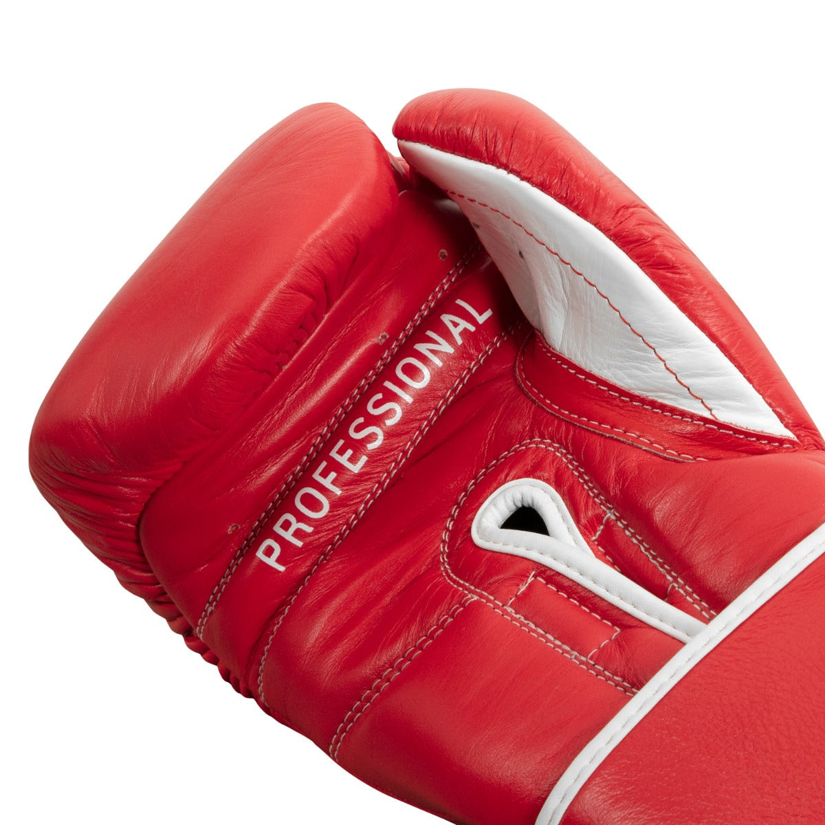 Professional Training Boxing Gloves 3.0