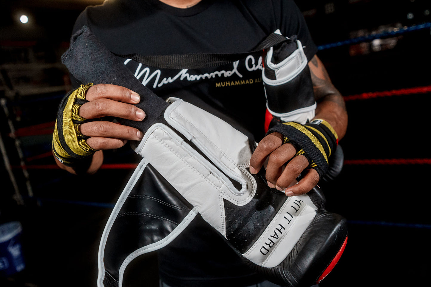 2.0 Boxing Gloves